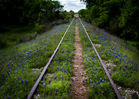 Spring in Texas